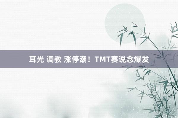 耳光 调教 涨停潮！TMT赛说念爆发