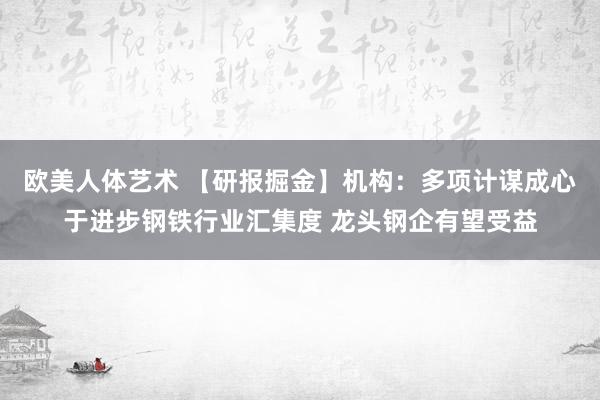 欧美人体艺术 【研报掘金】机构：多项计谋成心于进步钢铁行业汇集度 龙头钢企有望受益