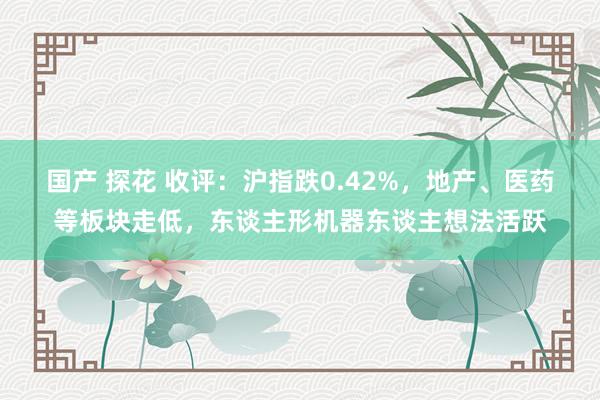 国产 探花 收评：沪指跌0.42%，地产、医药等板块走低，东谈主形机器东谈主想法活跃