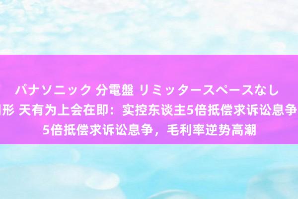 パナソニック 分電盤 リミッタースペースなし 露出・半埋込両用形 天有为上会在即：实控东谈主5倍抵偿求诉讼息争，毛利率逆势高潮