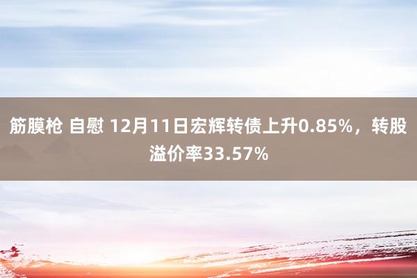 筋膜枪 自慰 12月11日宏辉转债上升0.85%，转股溢价率33.57%