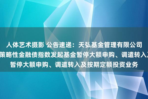 人体艺术摄影 公告速递：天弘基金管理有限公司对于天弘中债3-5年策略性金融债指数发起基金暂停大额申购、调遣转入及按期定额投资业务