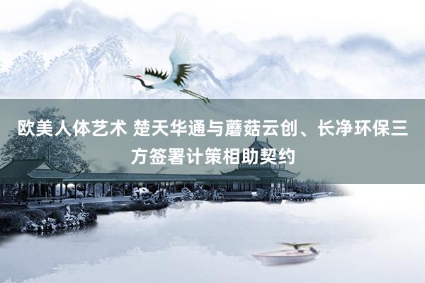 欧美人体艺术 楚天华通与蘑菇云创、长净环保三方签署计策相助契约