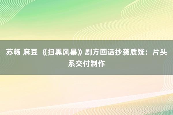 苏畅 麻豆 《扫黑风暴》剧方回话抄袭质疑：片头系交付制作