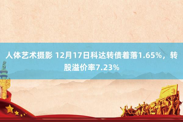 人体艺术摄影 12月17日科达转债着落1.65%，转股溢价率7.23%