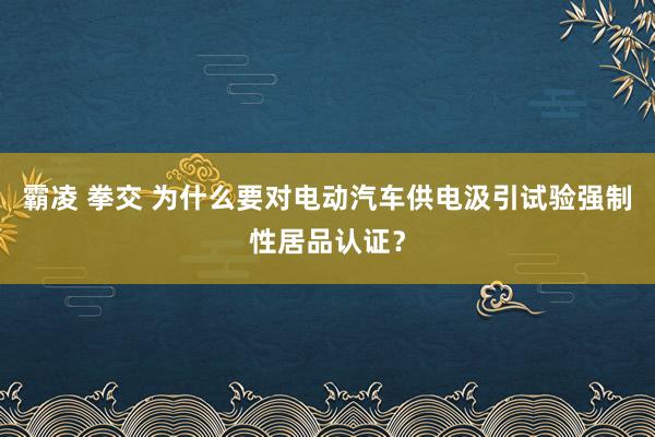 霸凌 拳交 为什么要对电动汽车供电汲引试验强制性居品认证？