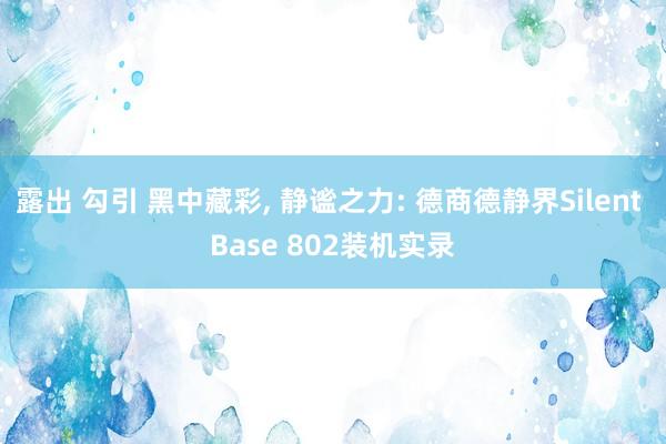 露出 勾引 黑中藏彩， 静谧之力: 德商德静界Silent Base 802装机实录