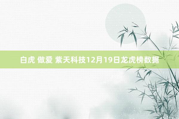 白虎 做爱 紫天科技12月19日龙虎榜数据