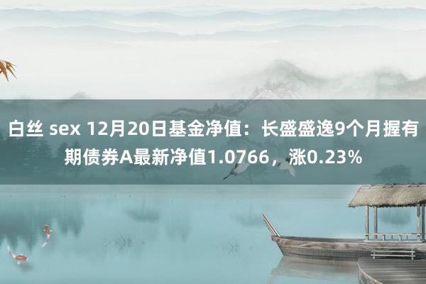 白丝 sex 12月20日基金净值：长盛盛逸9个月握有期债券A最新净值1.0766，涨0.23%