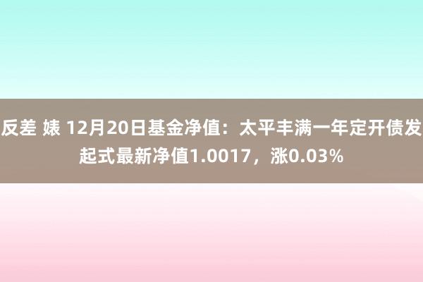 反差 婊 12月20日基金净值：太平丰满一年定开债发起式最新净值1.0017，涨0.03%