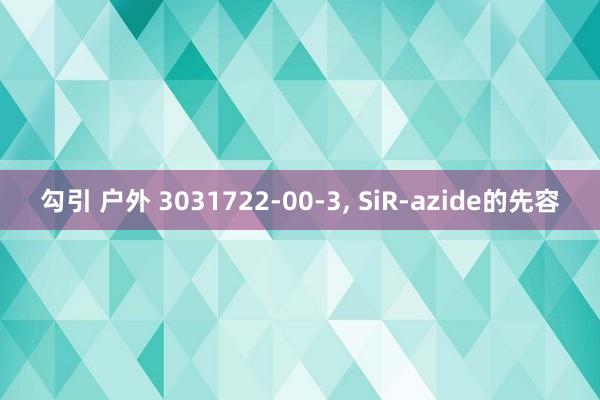 勾引 户外 3031722-00-3， SiR-azide的先容