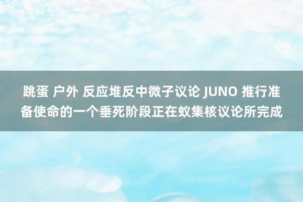 跳蛋 户外 反应堆反中微子议论 JUNO 推行准备使命的一个垂死阶段正在蚁集核议论所完成