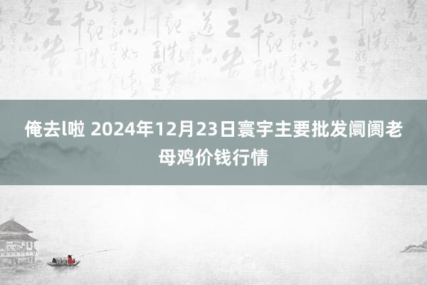 俺去l啦 2024年12月23日寰宇主要批发阛阓老母鸡价钱行情