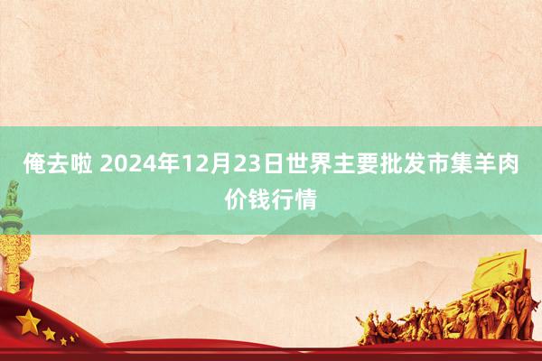 俺去啦 2024年12月23日世界主要批发市集羊肉价钱行情