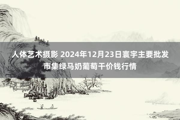 人体艺术摄影 2024年12月23日寰宇主要批发市集绿马奶葡萄干价钱行情