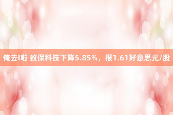 俺去l啦 致保科技下降5.85%，报1.61好意思元/股