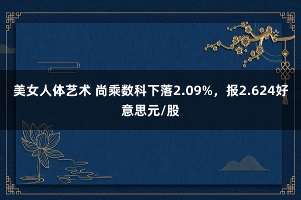 美女人体艺术 尚乘数科下落2.09%，报2.624好意思元/股