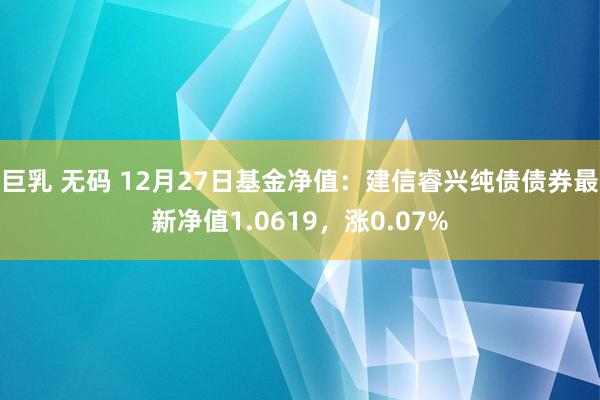 巨乳 无码 12月27日基金净值：建信睿兴纯债债券最新净值1.0619，涨0.07%