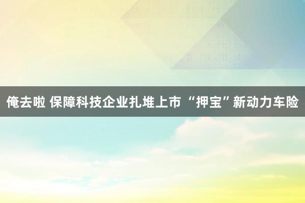 俺去啦 保障科技企业扎堆上市 “押宝”新动力车险