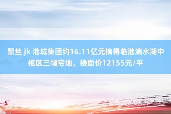 黑丝 jk 港城集团约16.11亿元摘得临港滴水湖中枢区三幅宅地，楼面价12155元/平