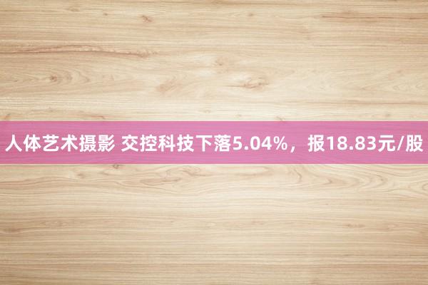 人体艺术摄影 交控科技下落5.04%，报18.83元/股