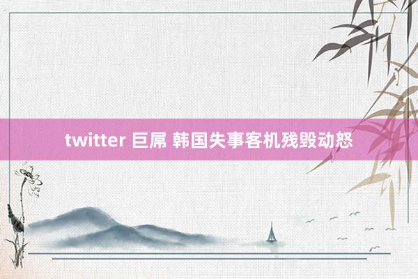 twitter 巨屌 韩国失事客机残毁动怒