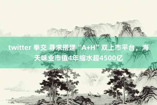 twitter 拳交 寻求搭建“A+H”双上市平台，海天味业市值4年缩水超4500亿