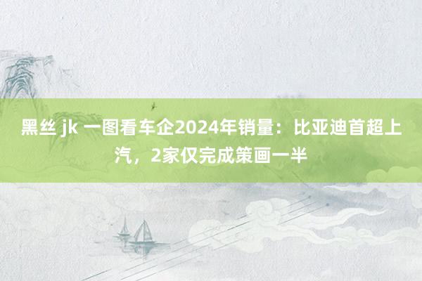 黑丝 jk 一图看车企2024年销量：比亚迪首超上汽，2家仅完成策画一半