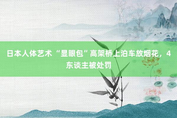 日本人体艺术 “显眼包”高架桥上泊车放烟花，4东谈主被处罚