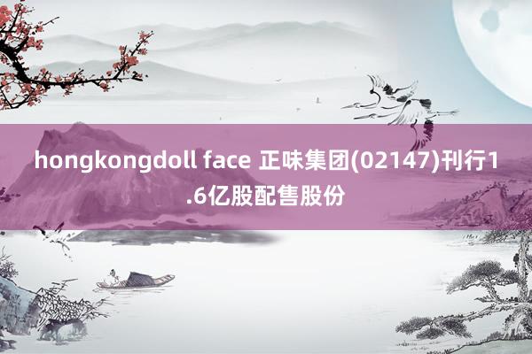 hongkongdoll face 正味集团(02147)刊行1.6亿股配售股份