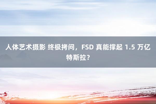 人体艺术摄影 终极拷问，FSD 真能撑起 1.5 万亿特斯拉？