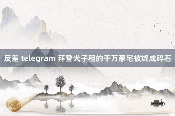 反差 telegram 拜登犬子租的千万豪宅被烧成碎石