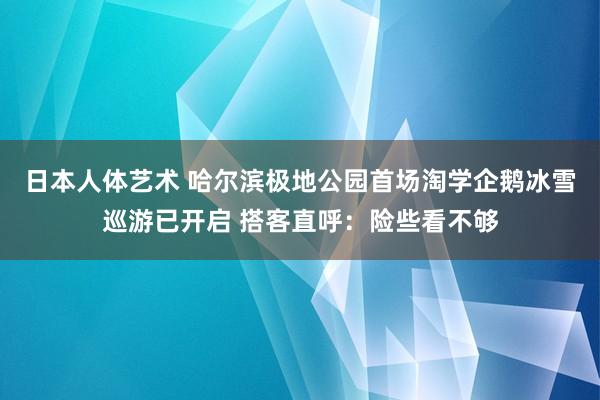 日本人体艺术 哈尔滨极地公园首场淘学企鹅冰雪巡游已开启 搭客直呼：险些看不够