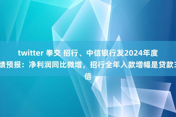 twitter 拳交 招行、中信银行发2024年度功绩预报：净利润同比微增，招行全年入款增幅是贷款3倍