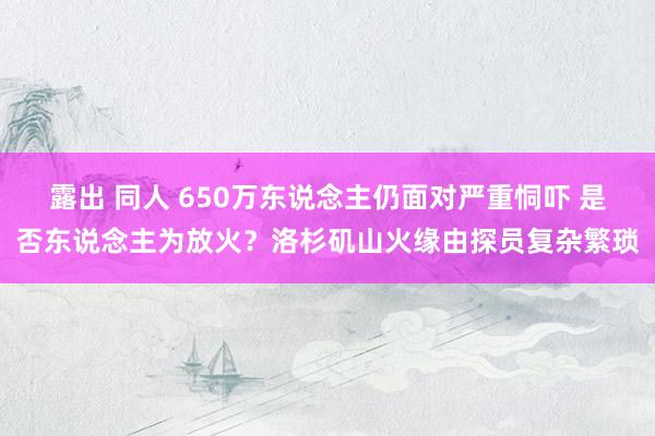 露出 同人 650万东说念主仍面对严重恫吓 是否东说念主为放火？洛杉矶山火缘由探员复杂繁琐