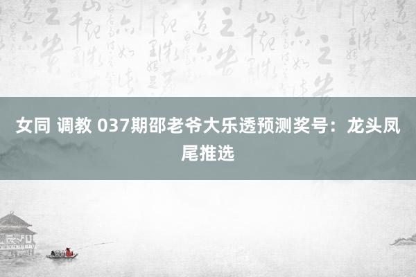 女同 调教 037期邵老爷大乐透预测奖号：龙头凤尾推选