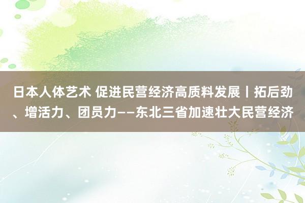 日本人体艺术 促进民营经济高质料发展丨拓后劲、增活力、团员力——东北三省加速壮大民营经济
