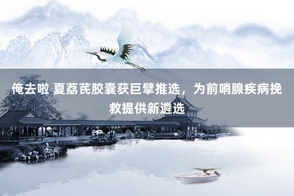 俺去啦 夏荔芪胶囊获巨擘推选，为前哨腺疾病挽救提供新遴选