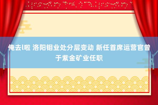 俺去l啦 洛阳钼业处分层变动 新任首席运营官曾于紫金矿业任职