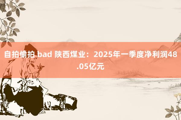 自拍偷拍 bad 陕西煤业：2025年一季度净利润48.05亿元