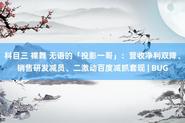 科目三 裸舞 无语的「投影一哥」：营收净利双降、销售研发减员、二激动百度减抓套现 | BUG
